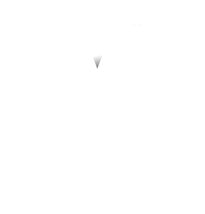 ChicVision Logo with Slogan